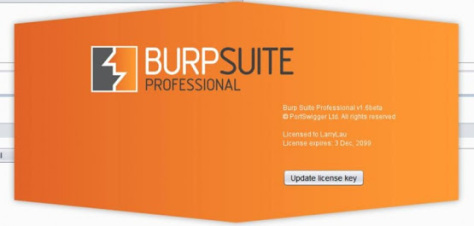 Burp Suite Professional