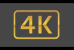 4K Video Downloader Plus