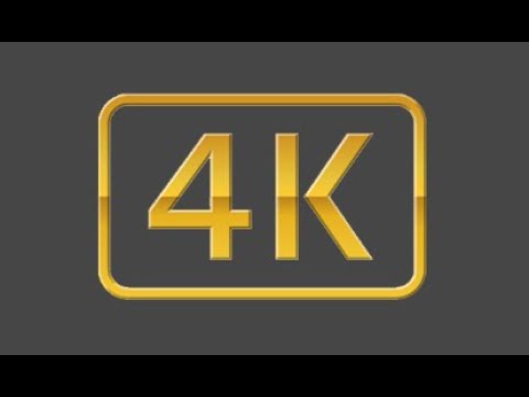 4K Video Downloader Plus