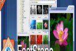 FastStone Image Viewer