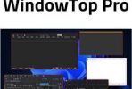 WindowTop Pro